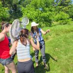 group of people with nets identifying Odonates in a field