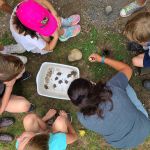 program leader and instructor looking at pond creatures in a bucket