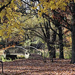 fall image of Arboretum Grounds